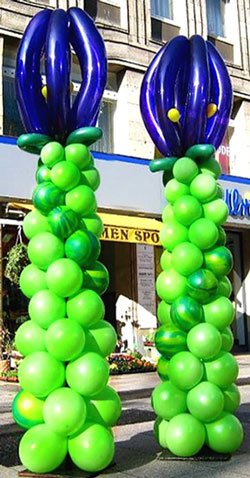 Krokus Blumen Ballonseulen.